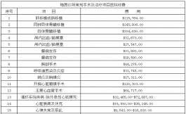 赴美就醫(yī)業(yè)內(nèi)專家解讀去美國看病費(fèi)用