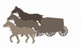 出國看病 非小細胞肺癌治療的“三駕馬車”