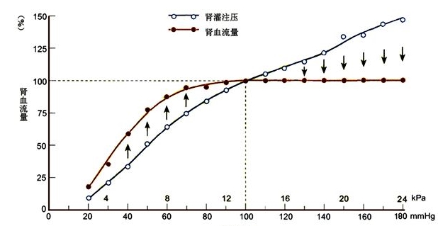 去美國看病機構