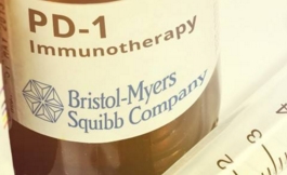 收藏 一分鐘了解PD-1和PD-L1適用于哪些腫瘤