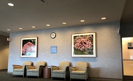 丹娜法伯癌癥研究院 免疫反應中細胞有何作用