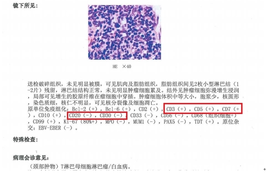 病理報告.jpg