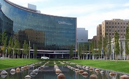 海外醫療 子宮手術中該如何固定后壁？