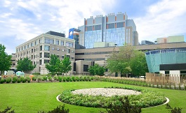 分子機制對細胞培養研究都有哪些影響