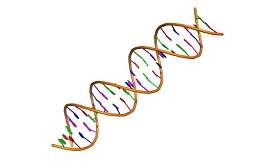 “垃圾DNA”序列在衰老和癌癥中的潛在作用