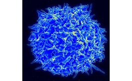 海外研究如何預測免疫療法的生物標志物