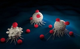 CAR T 細胞能提供內源性 RNA 以喚醒治療