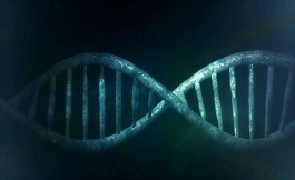無(wú)細(xì)胞 DNA 可識(shí)別兒童髓母細(xì)胞瘤復(fù)發(fā)跡象
