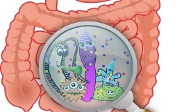 腸道微生物組與侵襲性前列腺癌有關聯