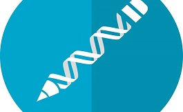 關于 CRISPR 基因編輯與突變細胞的聯系