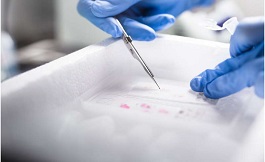 海外醫(yī)學探索：有關腫瘤的相關進化
