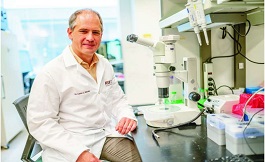 生物學悖論為癌癥的奧秘提供了新見解