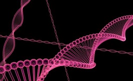 DNA 的二級結(jié)構(gòu)與癌癥有關(guān)！
