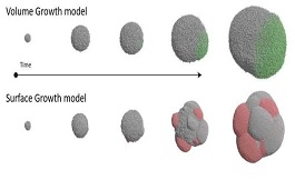 科學發(fā)現(xiàn)腫瘤生長方式會影響其基因