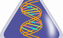 RNA 如何解除白血病中的壞角色蛋白