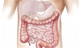 息肉也可能是結(jié)腸癌中的一個(gè)罪魁禍?zhǔn)? />
                        </a>
                    </div>
                    <div   id=