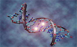 有關 DNA 甲基化用于預測膀胱癌的化療益處