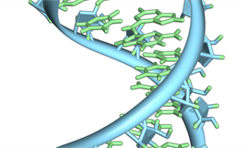 線粒體中的 RNA 修飾能促進癌癥侵襲性擴散
