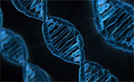 DNA 拷貝數改變會影響黑色素瘤轉移 RNA 回路