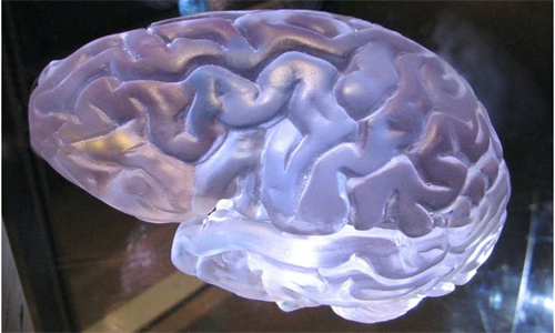 腦腫瘤研究.jpg