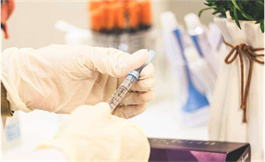 凝膠狀放射性腫瘤植入物能否消除小鼠胰腺癌