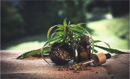 試驗發現癌癥患者無法從大麻酚油中得到緩解