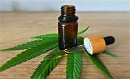 大麻產品對減少癌癥兒童癥狀是否安全有效