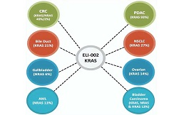 胰腺癌和結直腸癌：新型疫苗，產生持續反應