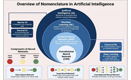 美國看病：AI 為準確的肝細胞癌診斷提供了希望