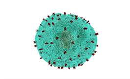 Zanubrutinib 在高風險再灌注 CLL 中療效趨勢更有利